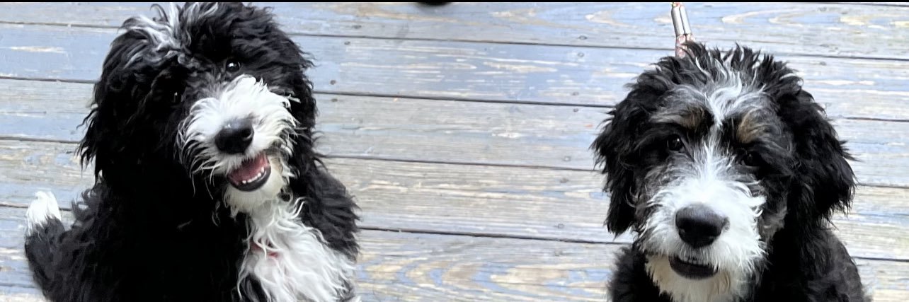 Grandma banner