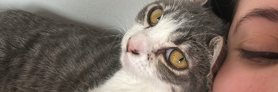 leehamrlh's profile banner image