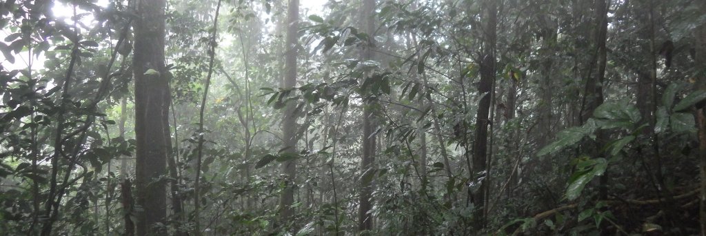 Moses LIBALAH banner