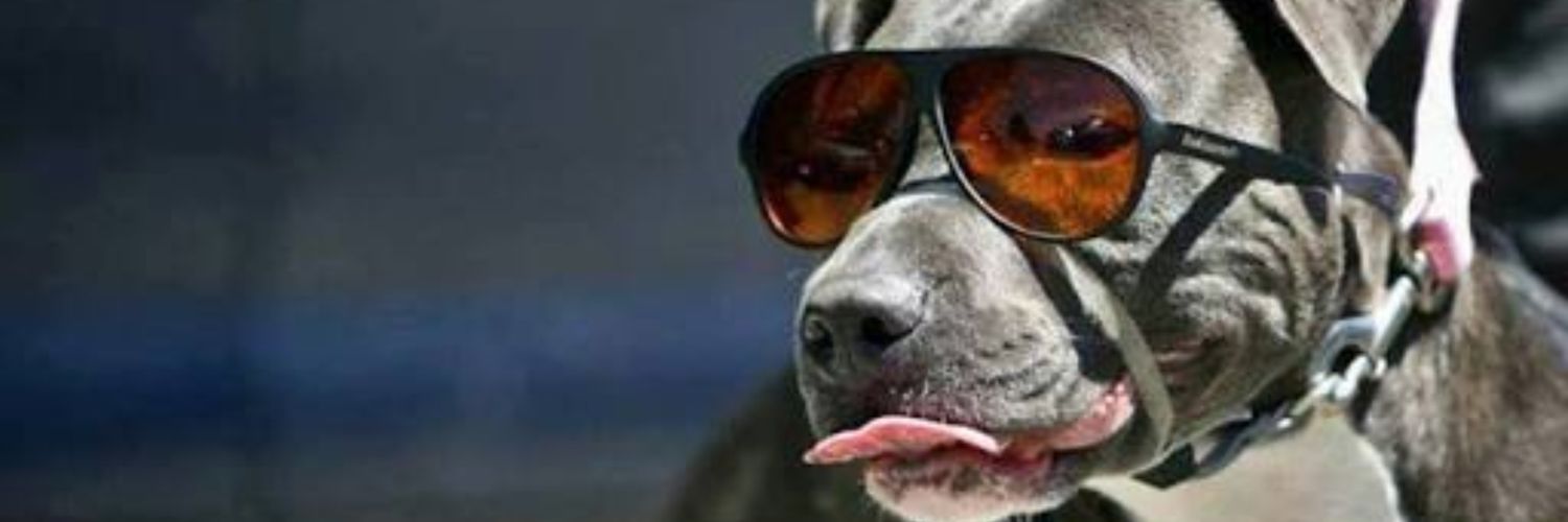 BAT46768492's profile banner image
