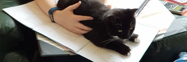 joycescott67 Profile Banner