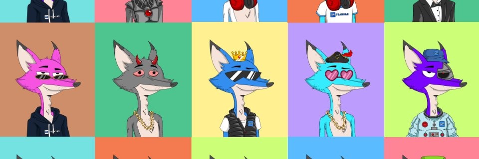 Robin↗️zeelearn.eth banner