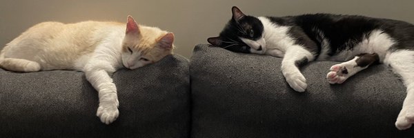 glotelo Profile Banner
