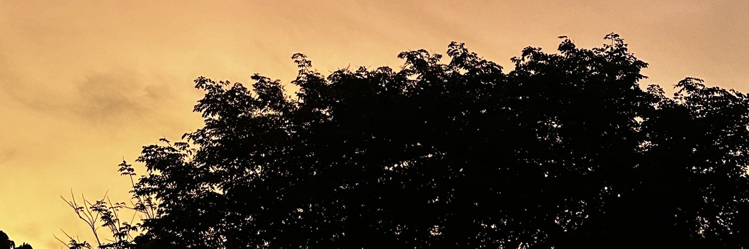 karma0303 banner