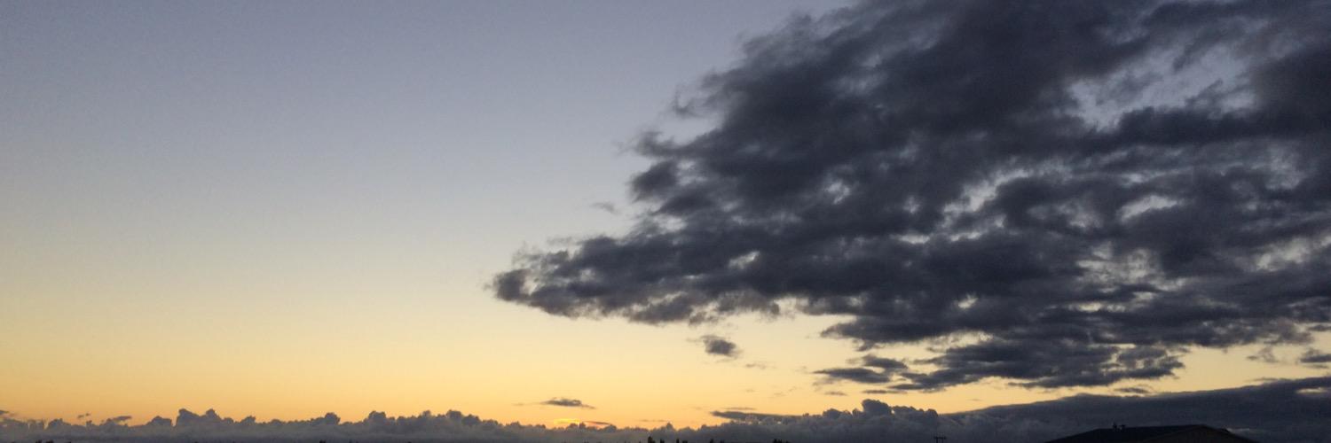 EvieFyfe's profile banner image