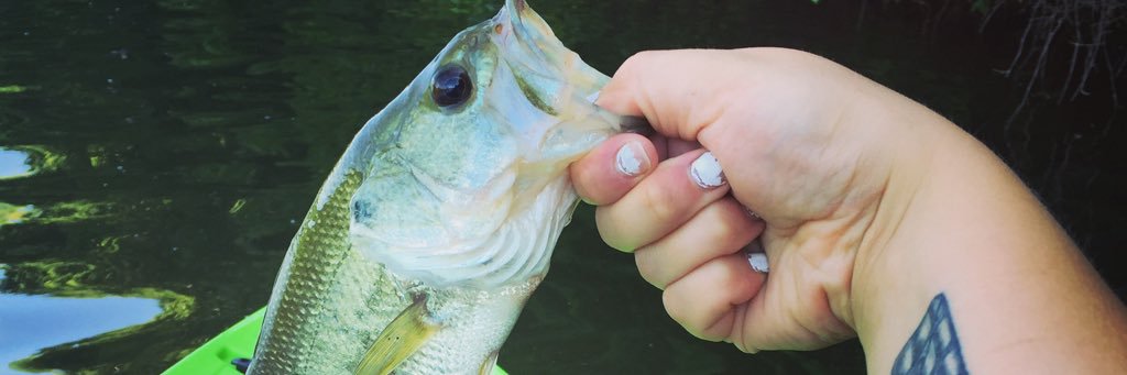 redneckroper12's profile banner image