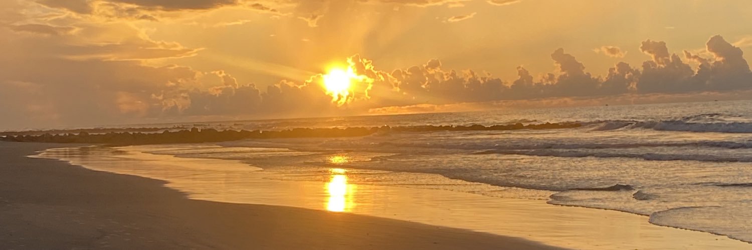 wservose1's profile banner image