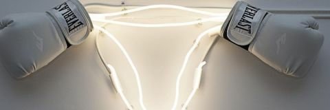 Lu T banner
