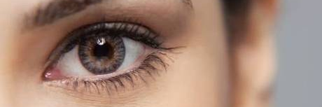 Vade Retroo banner