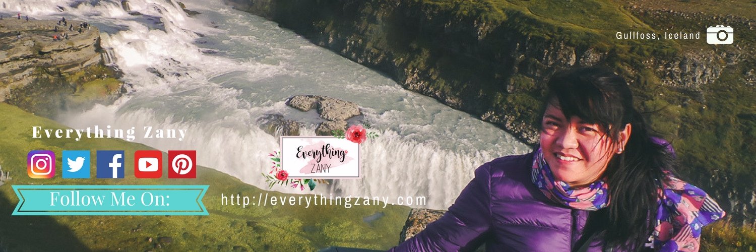 EverythingZany's profile banner image