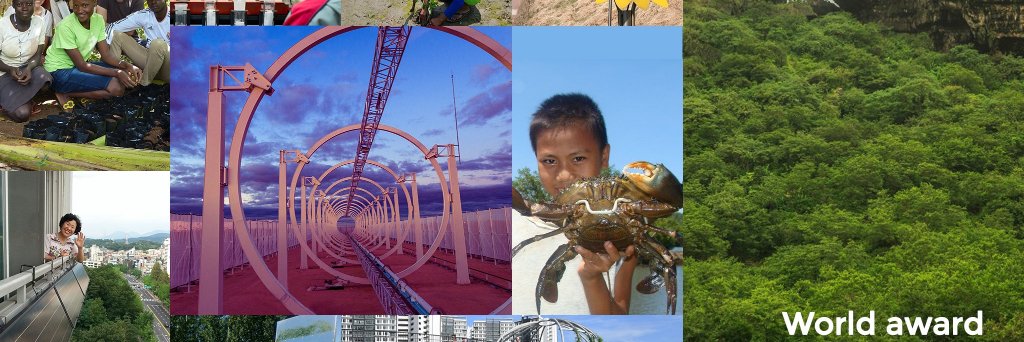 Energy Globe Award banner