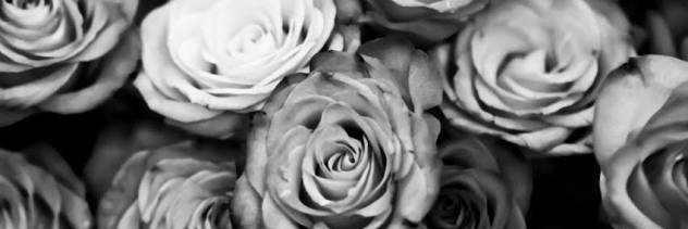 _Ulihle's profile banner image