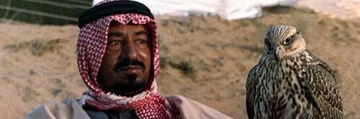 هياف🇸🇦 banner