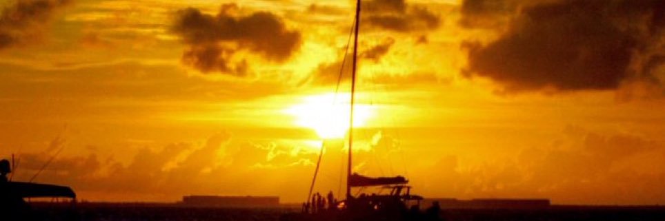 Catalina S Portillo banner