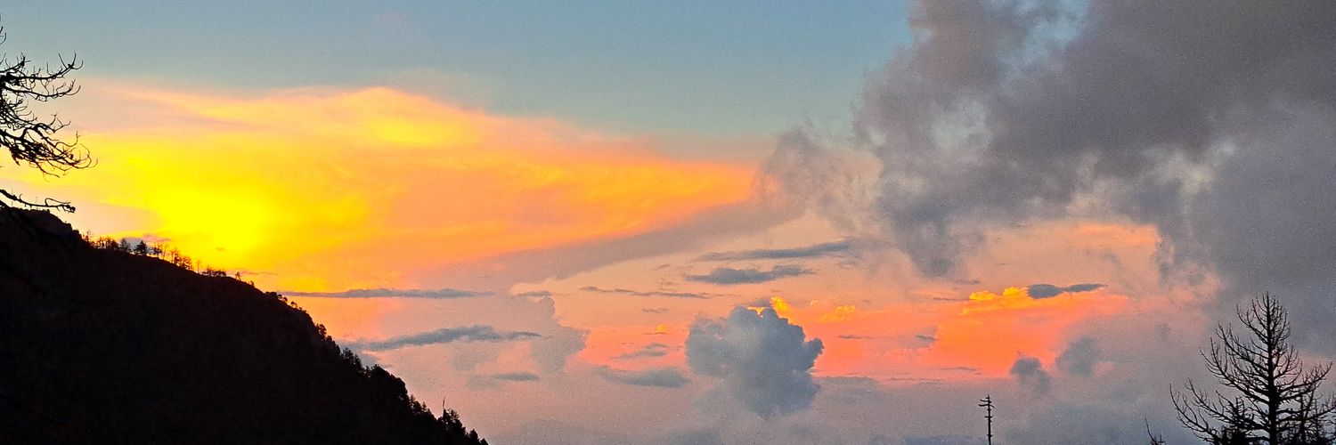 Pintarroja's profile banner image