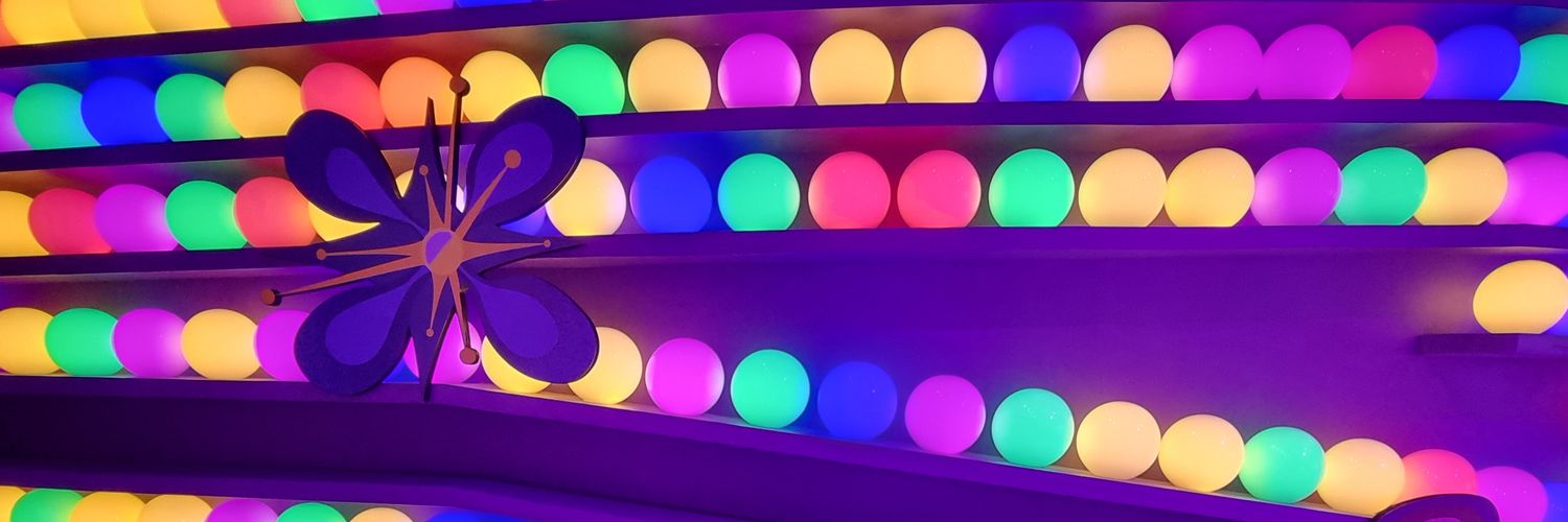 LeslieShS's profile banner image