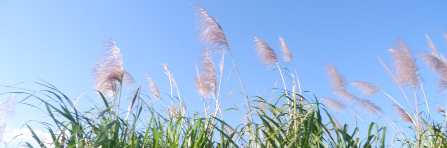 LauraBenzan's profile banner image