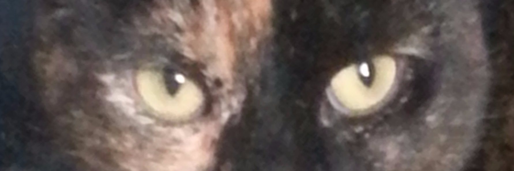 G'wan...guess my name banner