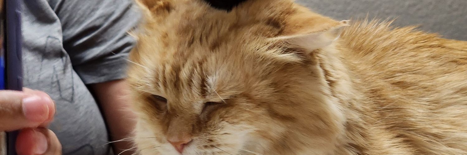 TehdGaming's profile banner image