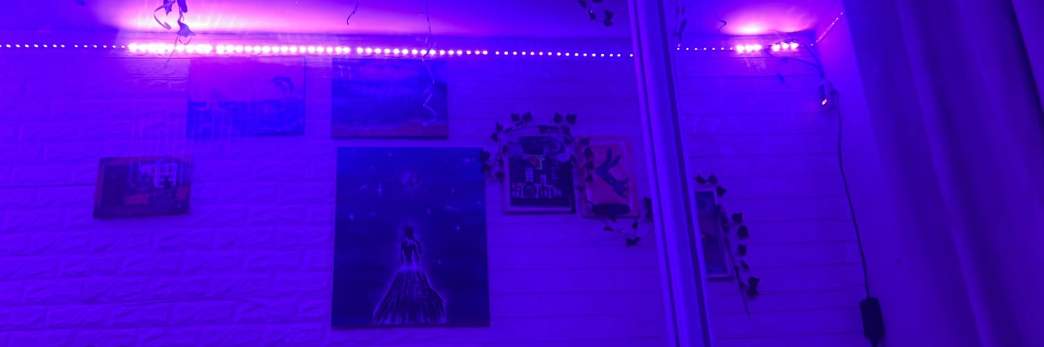 L4ysa_F's profile banner image