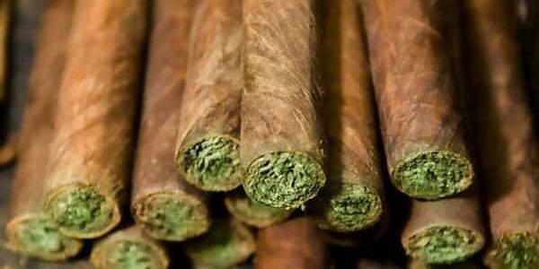 le_couche's profile banner image