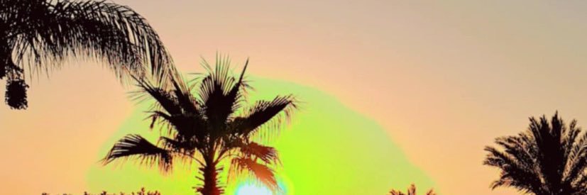 aalamirh3's profile banner image