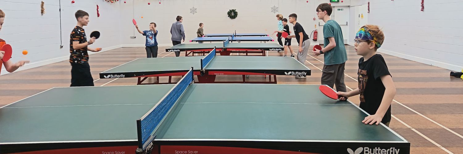 Table Tennis Rother banner