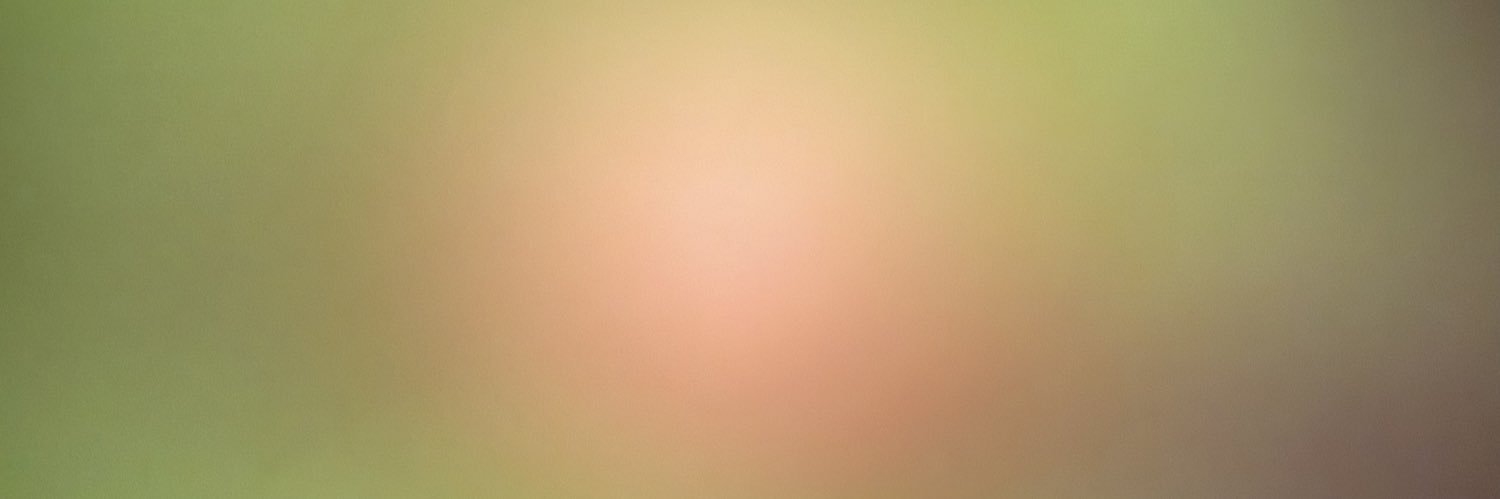 thatchrisankney's profile banner image