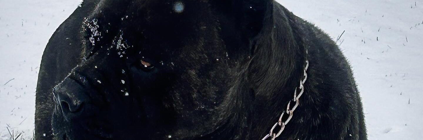 NotoriousD_R_E's profile banner image