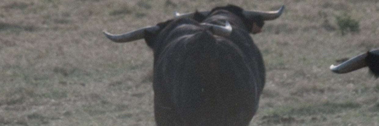 edubecerras's profile banner image