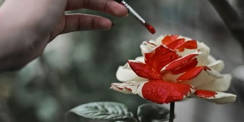 LadyMiauu's profile banner image