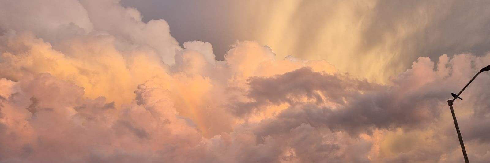 Chamitch's profile banner image