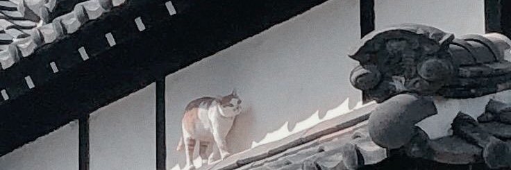 - banner