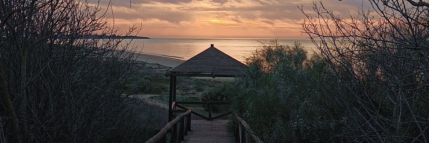 andreasanlucar's profile banner image
