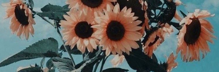 MartuTb's profile banner image