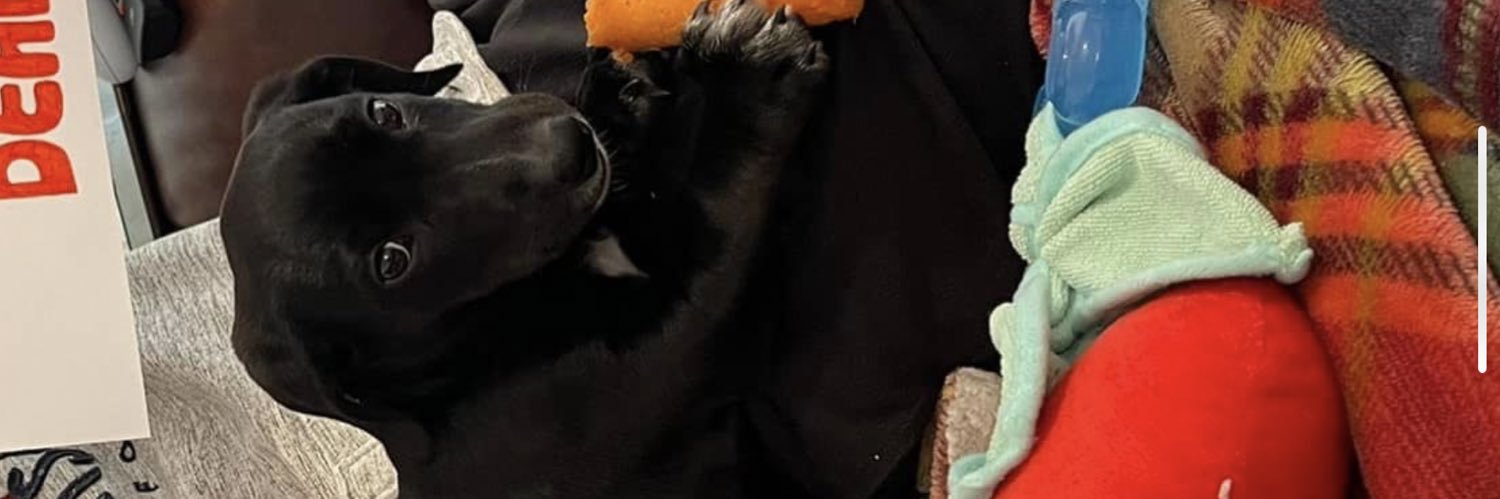 FroLuke's profile banner image