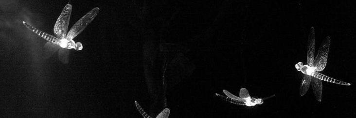Chris Townsend banner
