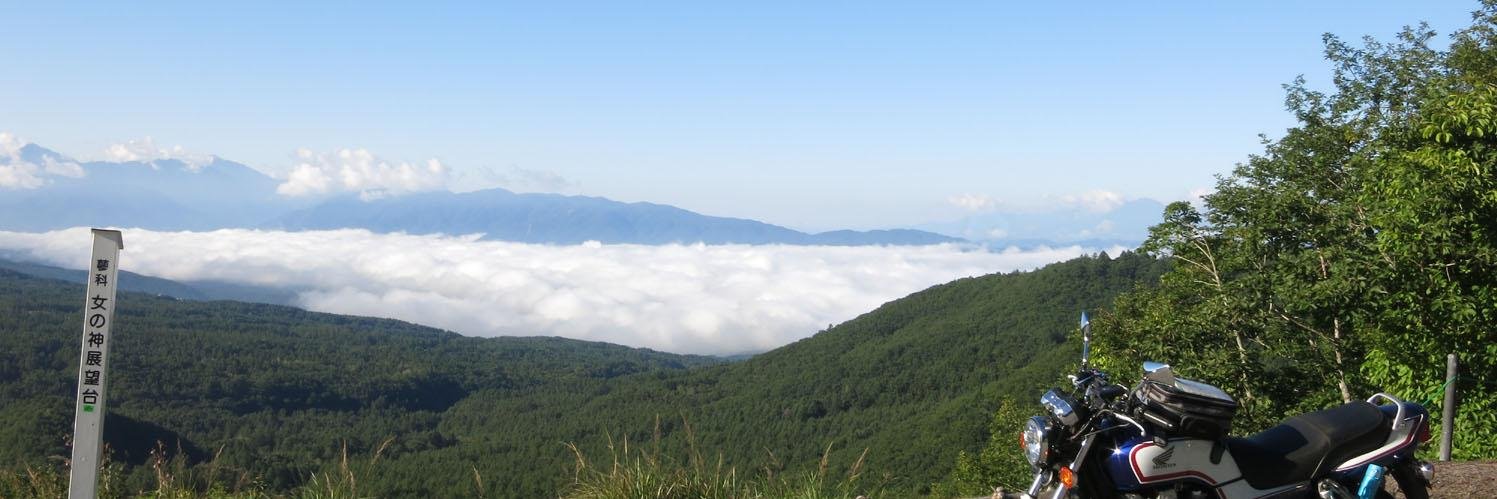 taicho3's profile banner image