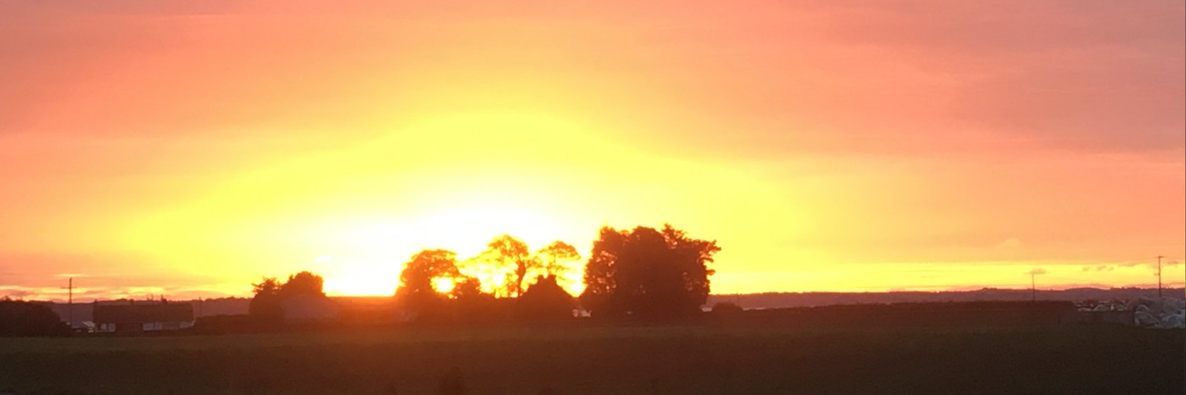 John Wonnacott banner