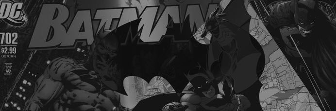 SkaizoFly's profile banner image