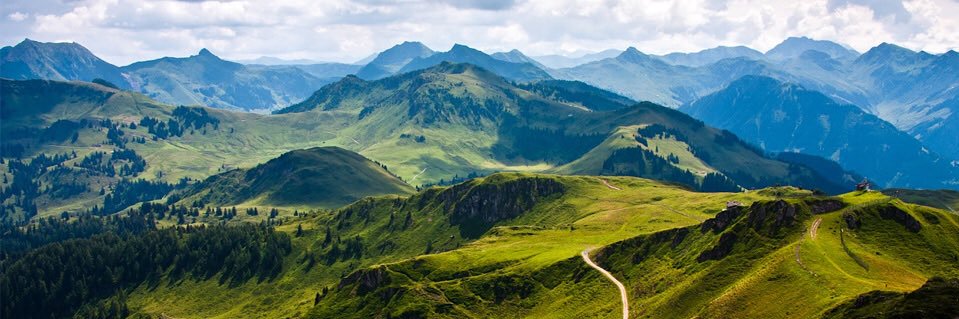 Bernadette Rhodes banner