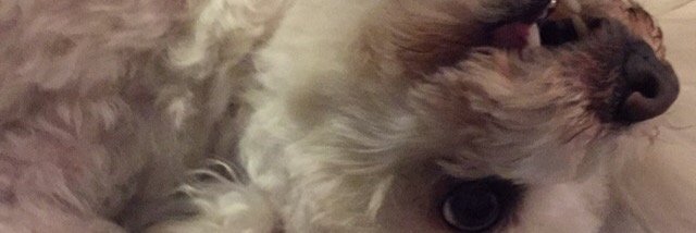 BarbaraGimenez's profile banner image