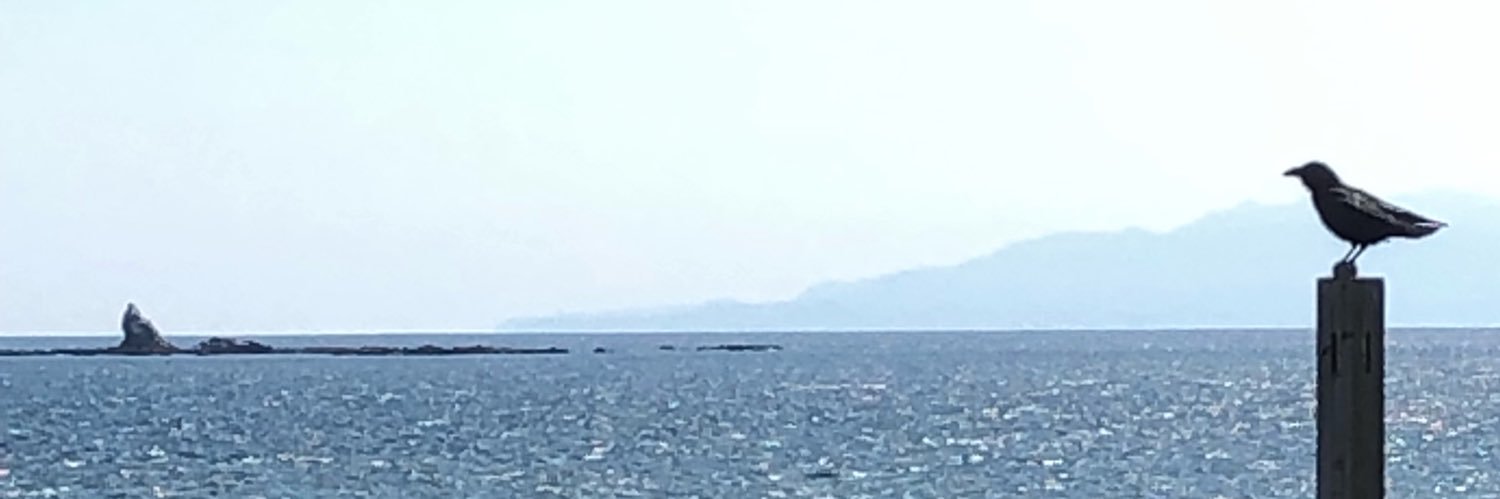 カナガワBE11 / JQ1FNA 🍵 banner