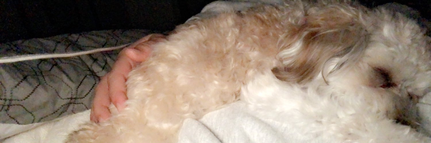beccabellz's profile banner image