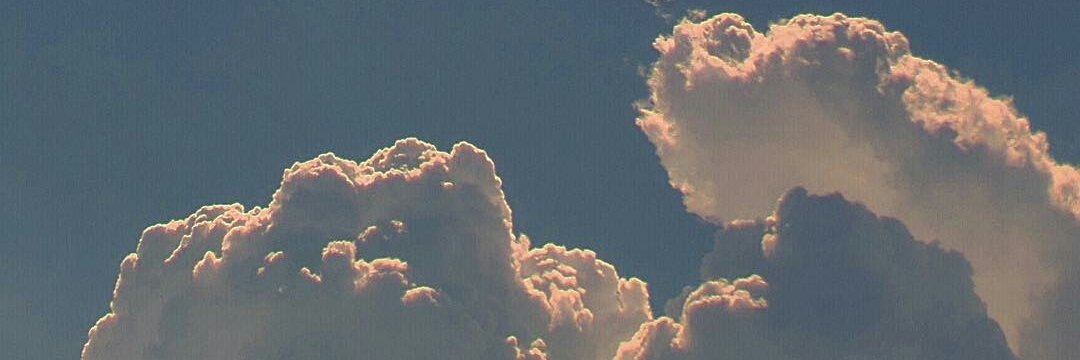 aysewick's profile banner image