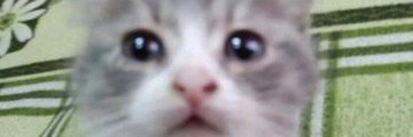 MsCheckaCheck Profile Banner