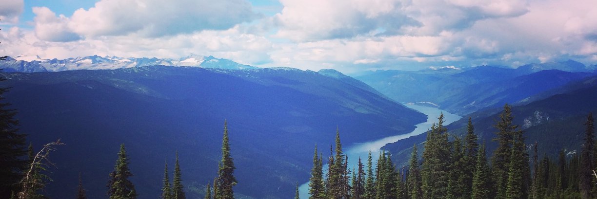 Jennifer Gray banner