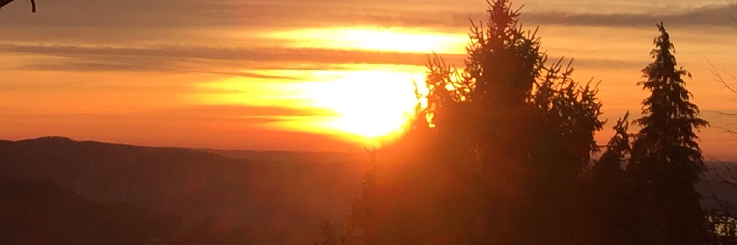 _monikar's profile banner image