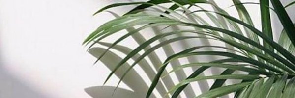 faith_katai Profile Banner