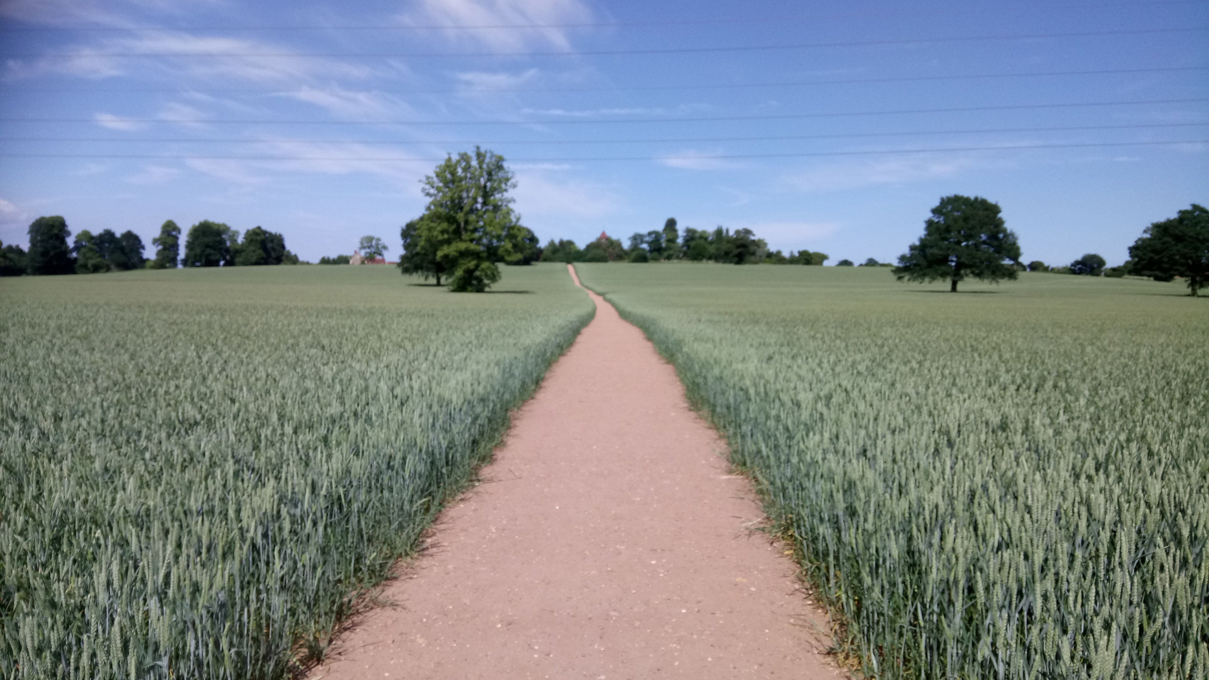 Jo Fleming 🌱 banner